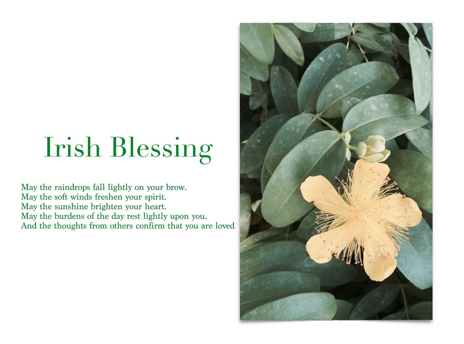 Irish Blessing