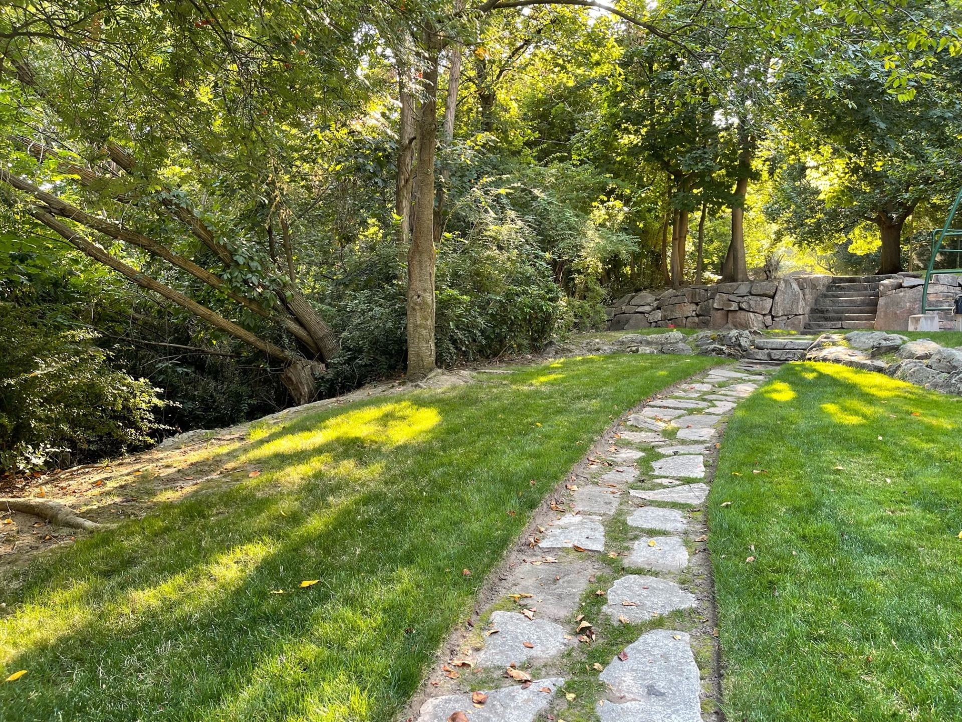 stone path in Cole Park