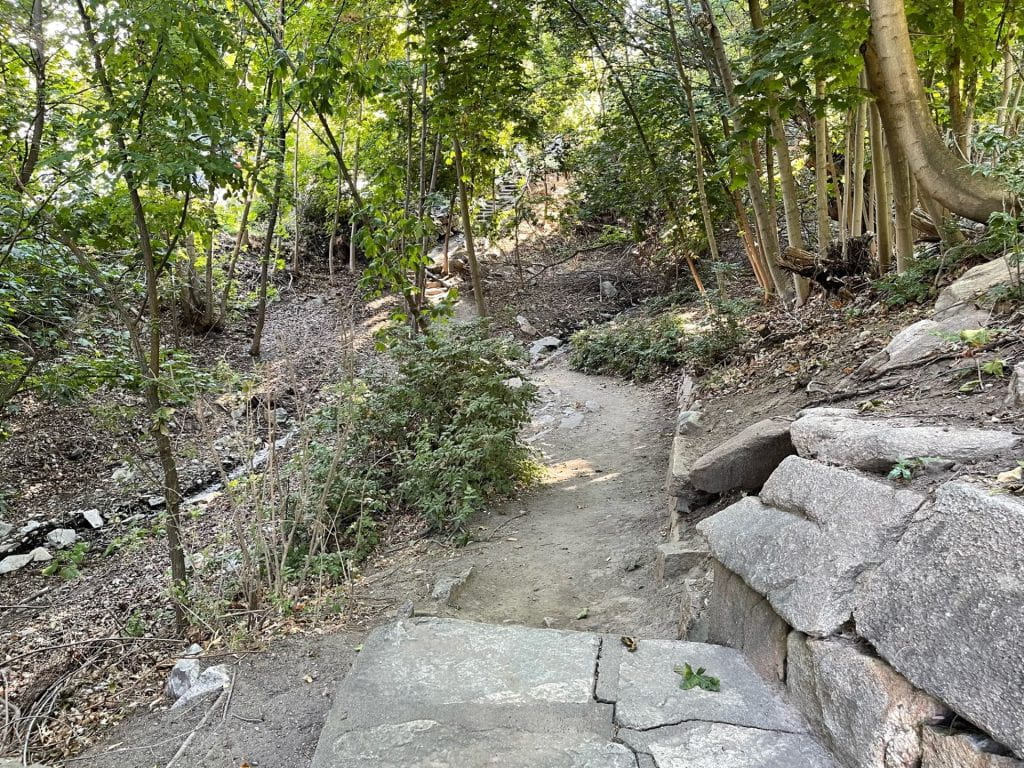 stone path to Fiddle Creek