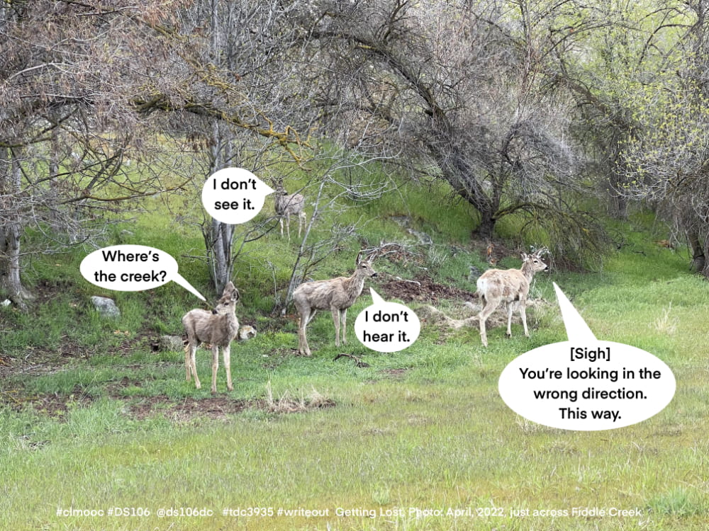 Getting Lost Daily Create: four mule deer with winter coats in April, 2022 near Fiddle Creek ; from left to right comic captions read: Where's the creek? I don't see it. I don't hear it. [Sigh] You're looking in the wrong direction. This way.
