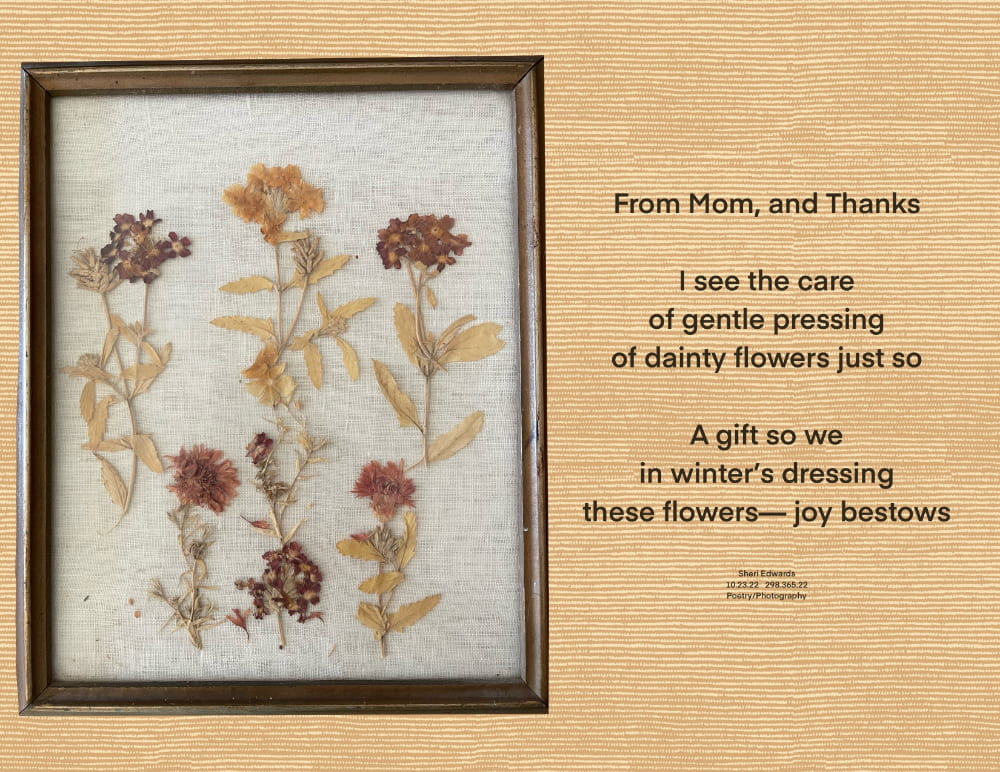 photo of pressed flowers in a frame with the blog posts poem: From Mom, and Thanks I see the care of gentle pressing of dainty flowers just so A gift so we in winter’s dressing these flowers— joy bestows Sheri Edwards 10.23.22 298.365.22 Poetry/Photography
