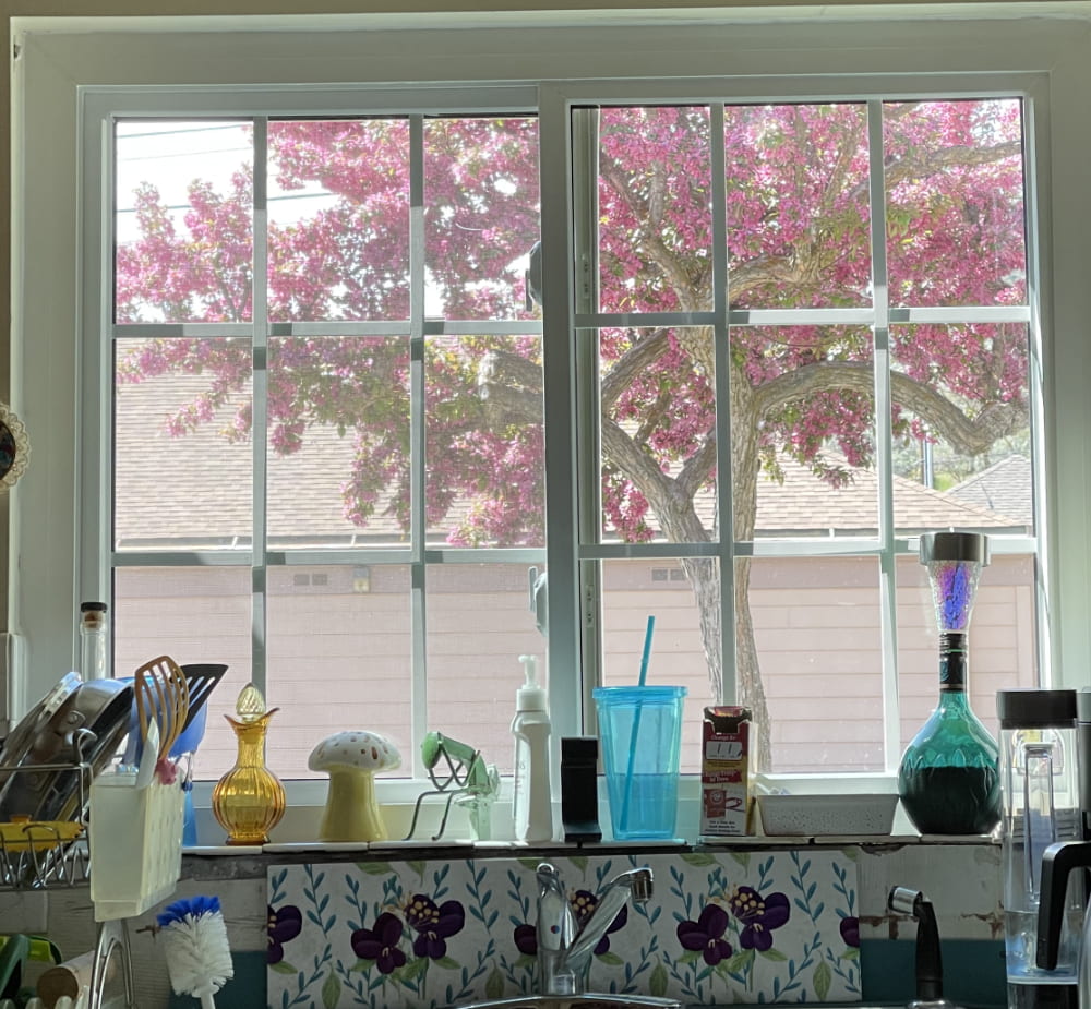 Out my kitchen window in May: a pink blooming crab apple tree