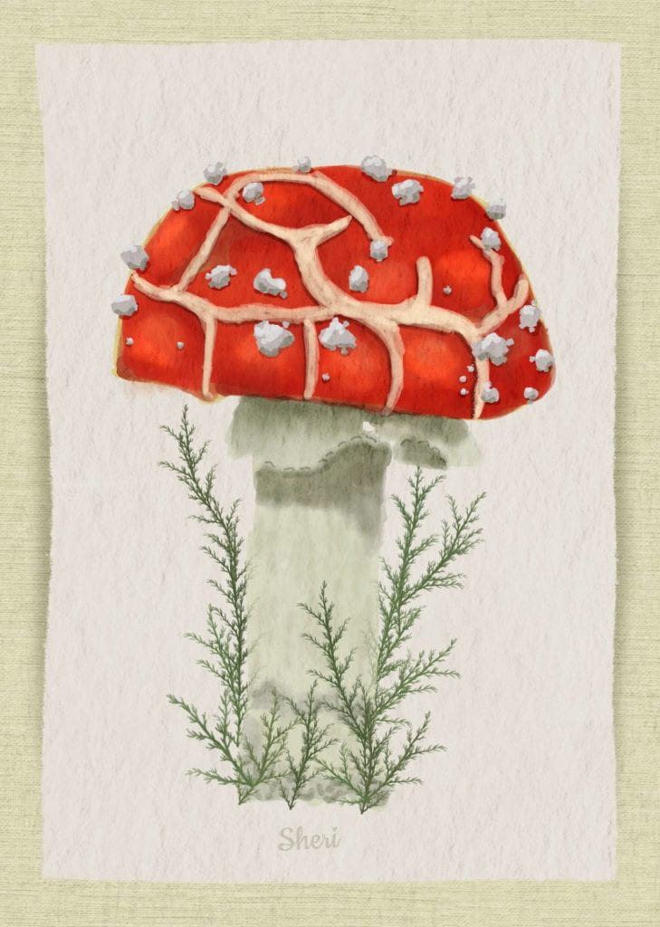 red mushroom with warts