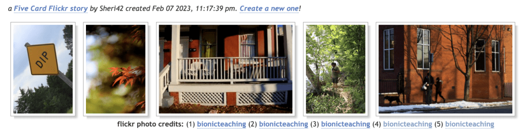 5 Card Story Photos: Sign that says 'Dip'; an orange flower; a front porch of red house with white trim; man in woods by river holding camera; red brick building with two people and dog at bus stop