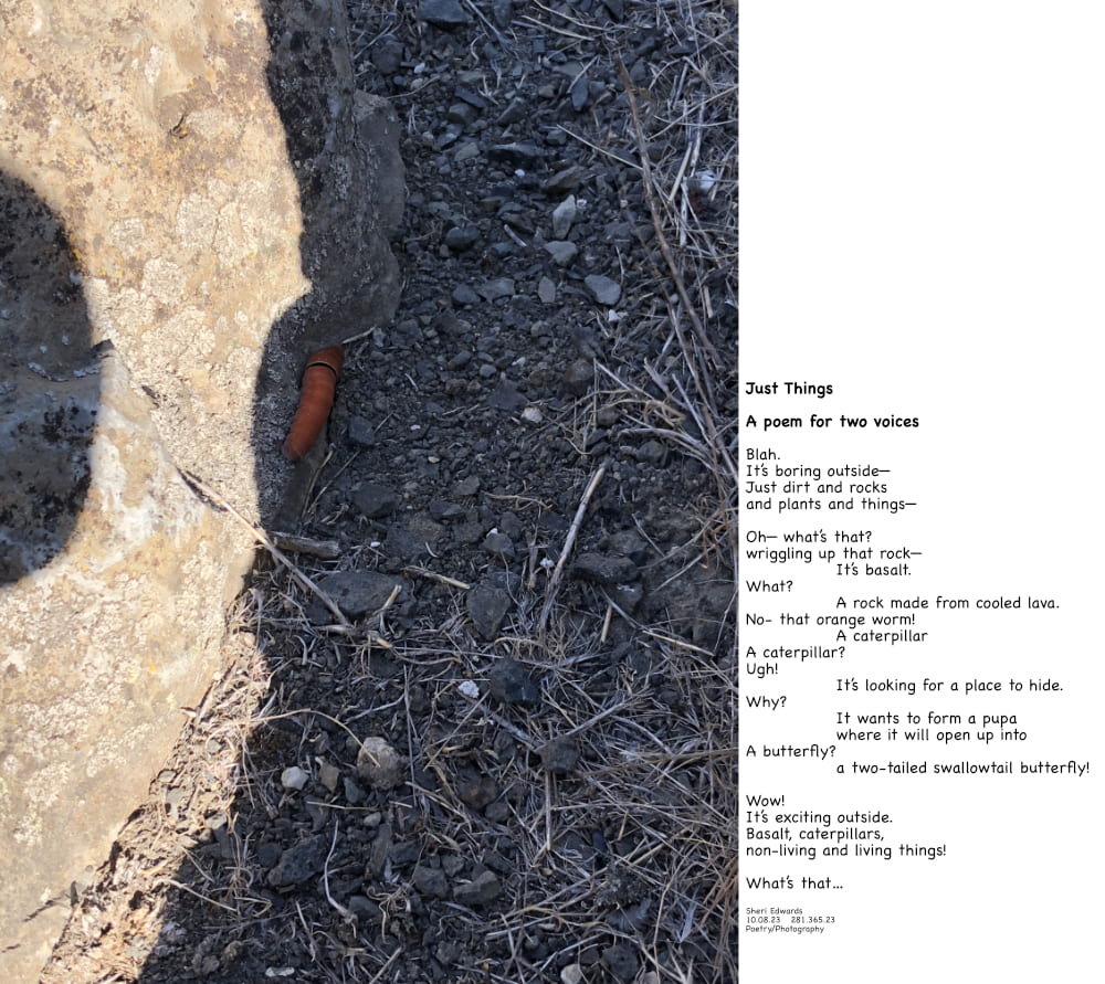 two-tailed swallowtail caterpillar and poem