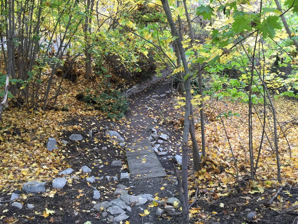 Fiddle Creek footbridge in Cole Park in autumn