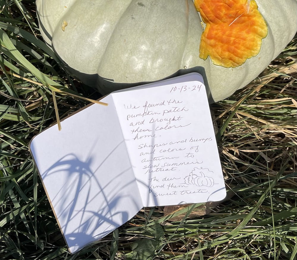 field note about the pumpkins and mule deer