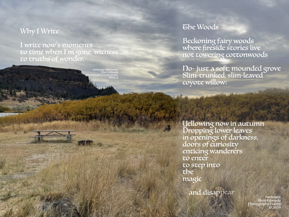 grove of coyote willow at Jones Bay, Banks Lake, WA with two poems